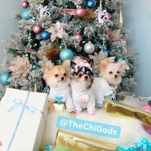 Meet your Posher, Roberto